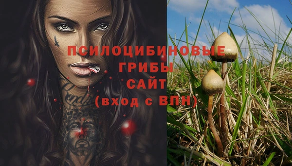марки nbome Алзамай