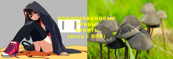 стафф Абинск
