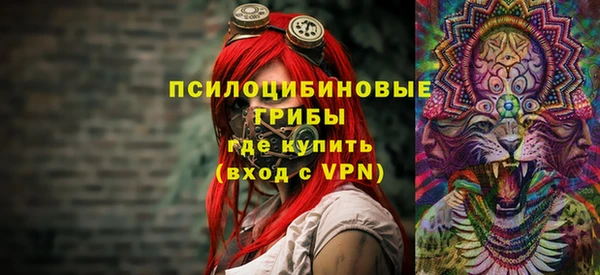 a pvp Абаза