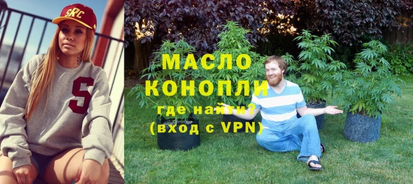индика Пестово