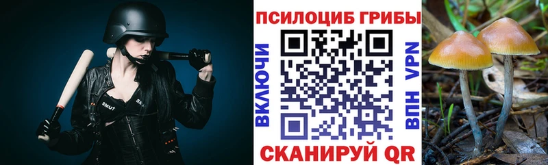 KRAKEN зеркало  дарк нет телеграм  Псилоцибиновые грибы прущие грибы  Усть-Катав 